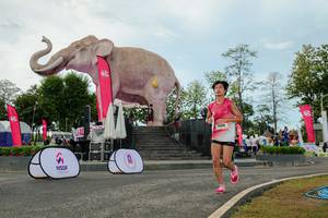 BIB: 
                            <button type="button" onclick="openModal(26529007)" class="btn btn-primary btn-sm float-right btn-popup" data-toggle="modal" data-target=".modal-high-quality">
                        <i class="fas fa-shopping-cart"></i> Add to Cart
                    </button>
                                            <button type="button" onclick="isThisMe(26529007, true)" class="btn btn-success btn-sm float-right btn-popup btn-isme hidden" data-toggle="tooltip" data-placement="bottom" title="นี่คือรูปของคุณใช่ไหม คลิกที่นี่เพื่อเอาเข้าอัลบั้ม">
                        <i class="fas fa-plus"></i> Add to album
                    </button>
                    <button type="button" onclick="isThisMe(26529007, false)" class="btn btn-warning btn-sm float-right btn-popup btn-isnotme hidden">
                        <i class="fas fa-ban"></i> Remove from album
                    </button>